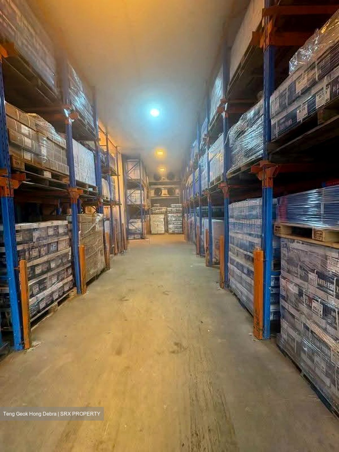 Pan Malayan Warehouse (D14), Factory #629642361